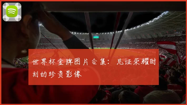 世界杯金牌图片合集:见证荣耀时刻的珍贵影像
