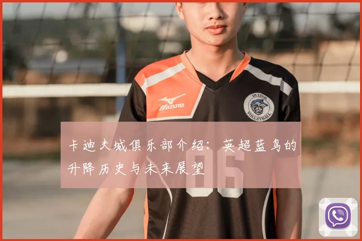 卡迪夫城俱乐部介绍:英超蓝鸟的升降历史与未来展望