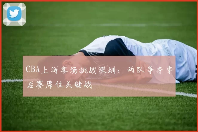 CBA上海客场挑战深圳,两队争夺季后赛席位关键战