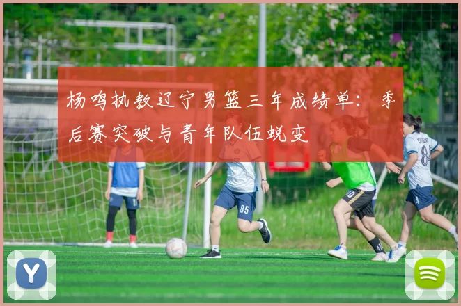 杨鸣执教辽宁男篮三年成绩单:季后赛突破与青年队伍蜕变