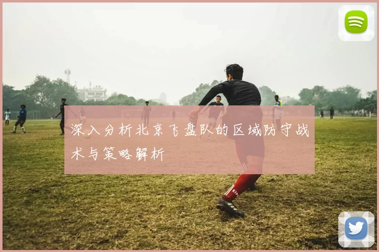 深入分析北京飞盘队的区域防守战术与策略解析