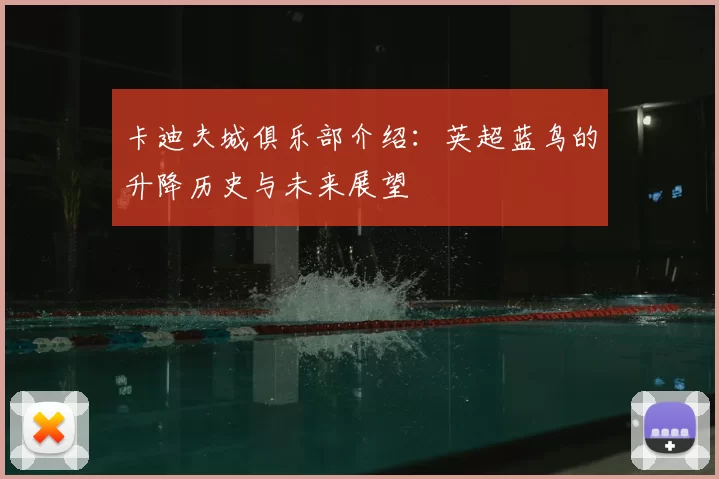 卡迪夫城俱乐部介绍:英超蓝鸟的升降历史与未来展望
