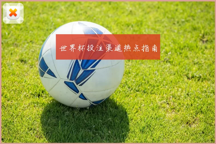 世界杯投注渠道热点指南