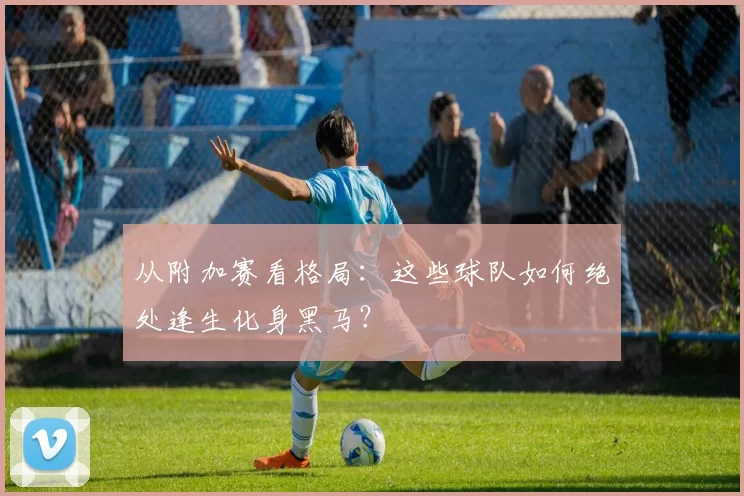 从附加赛看格局:这些球队如何绝处逢生化身黑马?
