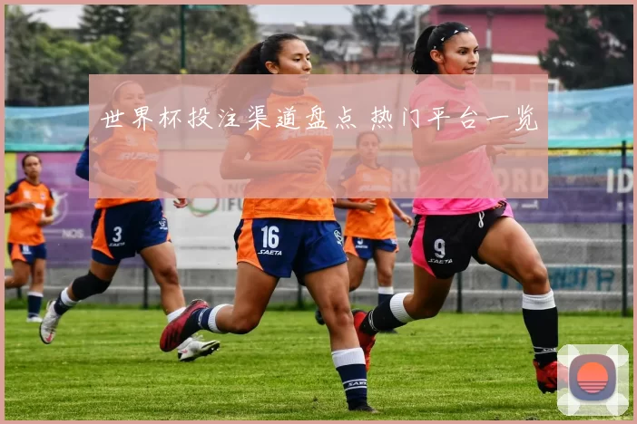 世界杯投注渠道盘点 热门平台一览