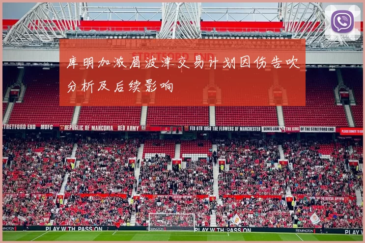库明加浓眉波津交易计划因伤告吹分析及后续影响