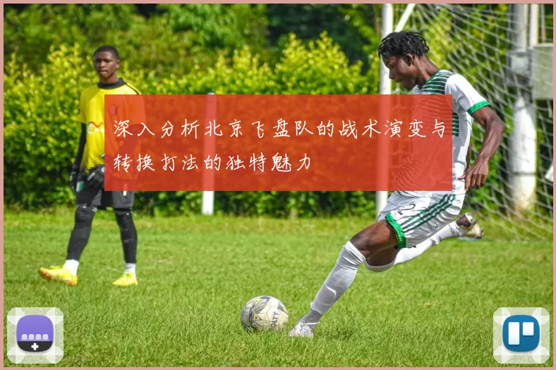 深入分析北京飞盘队的战术演变与转换打法的独特魅力