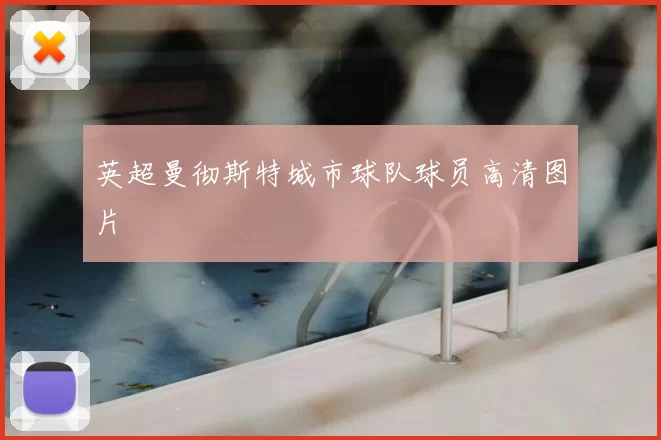 英超曼彻斯特城市球队球员高清图片