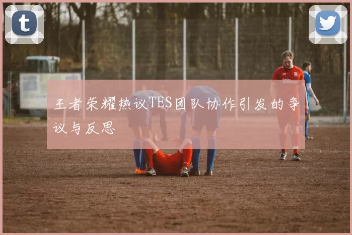 王者荣耀热议TES团队协作引发的争议与反思