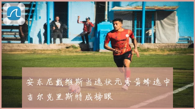 安东尼戴维斯当选状元秀黄蜂选中吉尔克里斯特成榜眼