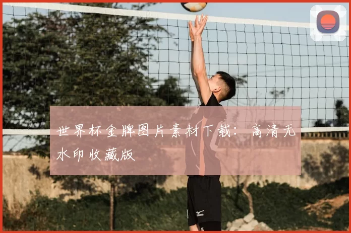 世界杯金牌图片素材下载:高清无水印收藏版