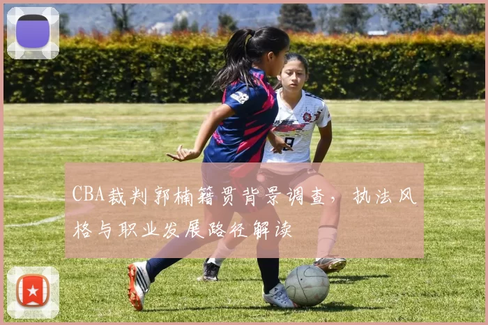 CBA裁判郭楠籍贯背景调查,执法风格与职业发展路径解读