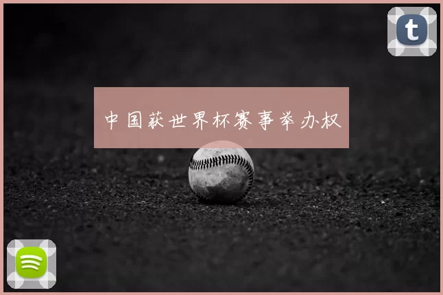 中国获世界杯赛事举办权