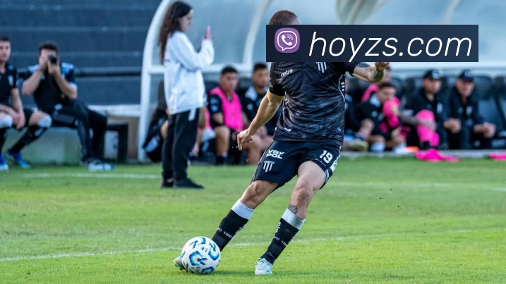 九游体育平台生态图